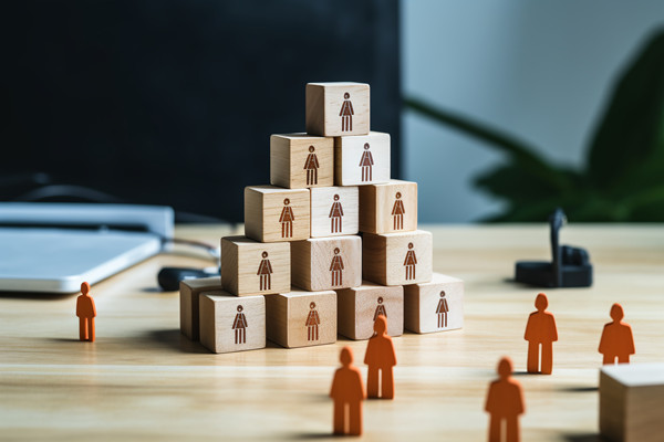 強化集團管控：財務，人力資源，信息技術的整合