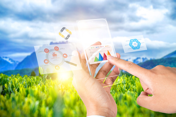 供應(yīng)鏈管理：打造高效、靈活與可持續(xù)的供應(yīng)鏈網(wǎng)絡(luò)