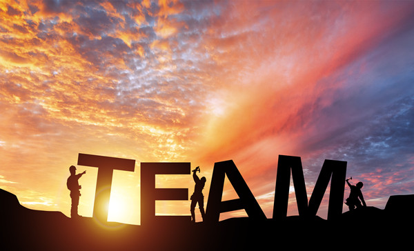 組織規(guī)劃管理：構建高效團隊，引領企業(yè)穩(wěn)健發(fā)展