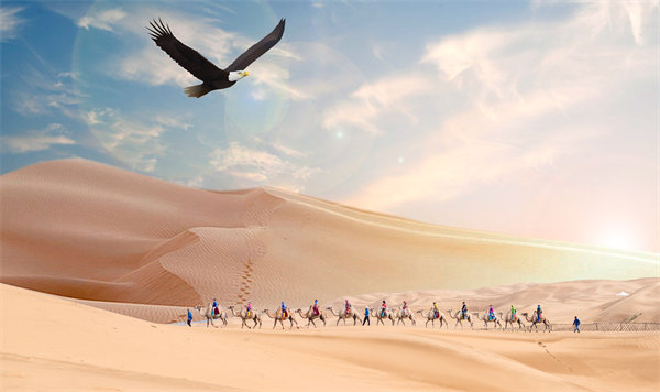 集團管控升級迭代，激發(fā)企業(yè)活力，實現(xiàn)持續(xù)領先