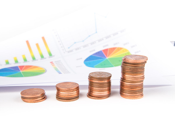 企業(yè)預算管理：一個全方位、多維度的財務管理策略