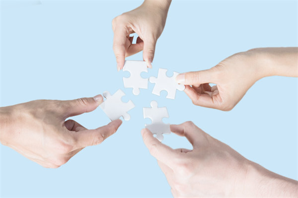 單體公司與集團型公司運作的差異體現(xiàn)在哪些地方？