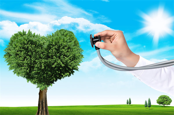 員工福利設(shè)計(jì)新思維：如何平衡成本效益與員工滿意度？