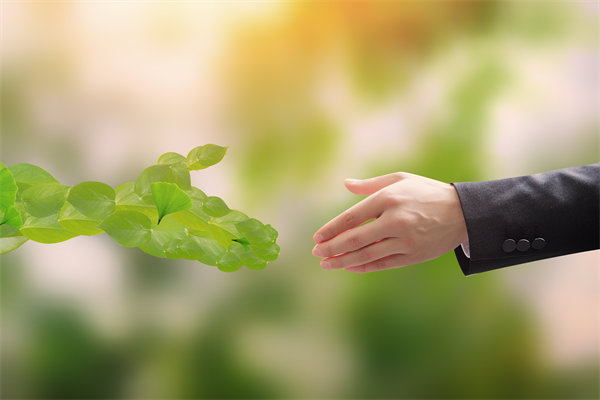 可持續(xù)發(fā)展成為趨勢，企業(yè)如何融入綠色戰(zhàn)略以促增長？