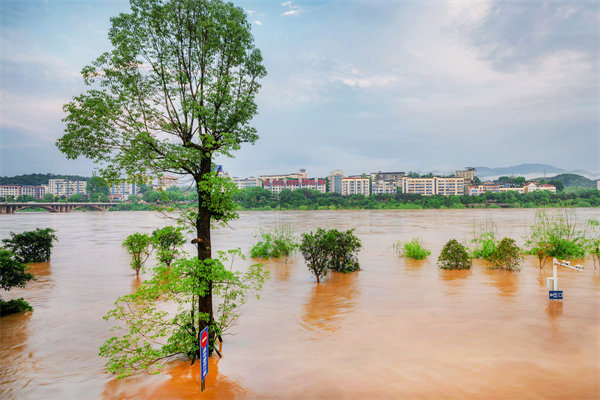 供應(yīng)鏈韌性建設(shè)：面對自然災(zāi)害的應(yīng)急計劃與恢復(fù)力？