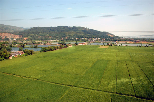 清遠(yuǎn)績效咨詢公司如何定制高效績效管理體系？