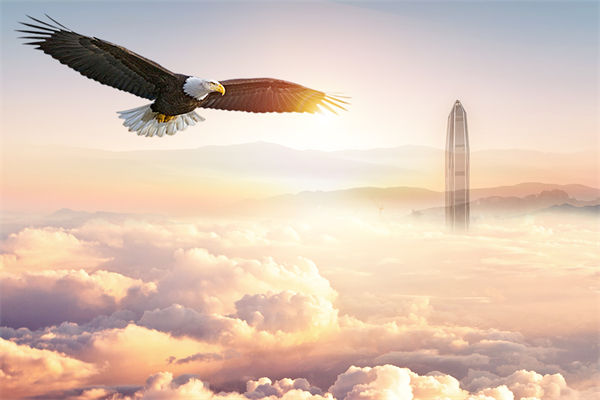 企業(yè)文化與企業(yè)管理如何協(xié)同，推動企業(yè)持續(xù)發(fā)展？