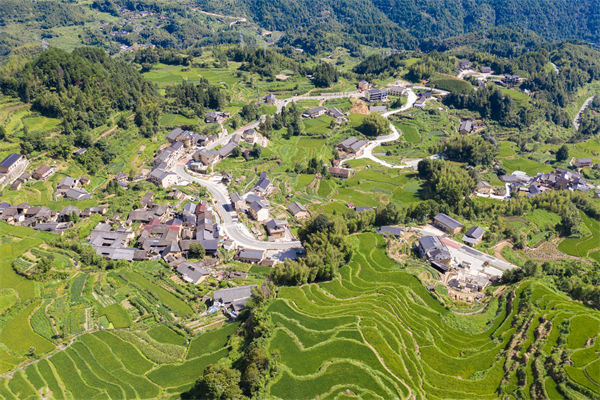 麗水人力資源咨詢公司如何優(yōu)化企業(yè)人才布局？