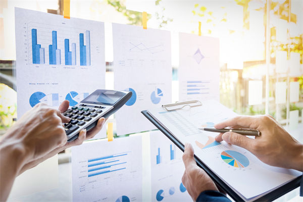 在預(yù)算執(zhí)行中，如何確保監(jiān)控與調(diào)整機(jī)制的有效性？