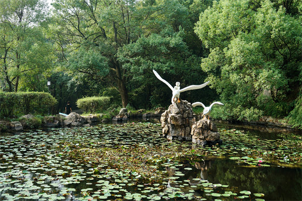 株洲預(yù)算管理咨詢公司如何為企業(yè)打造精準(zhǔn)預(yù)算管理體系？