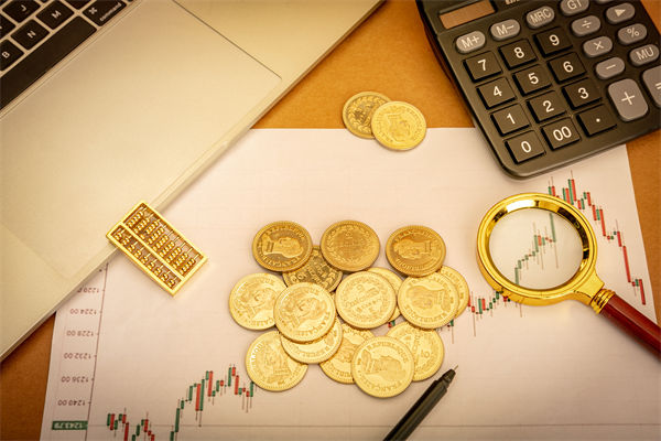 風險評估與應對：組織規(guī)劃中如何預見并減輕潛在問題？