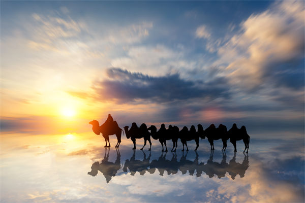 戰(zhàn)略與文化脫節(jié)，企業(yè)理念如何落地支撐發(fā)展？