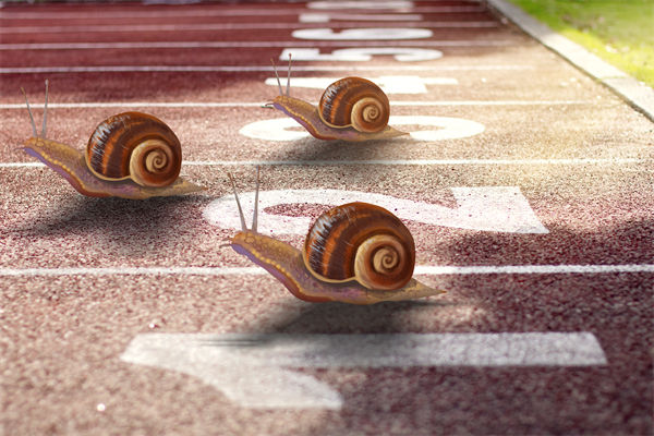 新業(yè)務(wù)拓展艱難，年度經(jīng)營(yíng)計(jì)劃為其定制專屬發(fā)展路徑