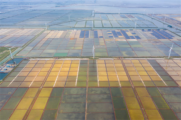 濰坊制造業(yè)招工難留人更難，濰坊人力資源咨詢公司如何破局用工困局？