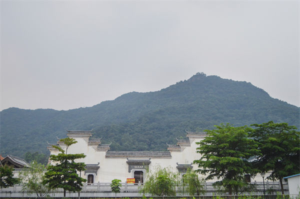 子公司各自為戰(zhàn)內(nèi)耗大，佛山集團(tuán)管控咨詢公司有何整合之道？