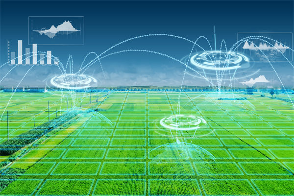 溫州種出2.1米高巨型水稻，精益生產(chǎn)怎么看？