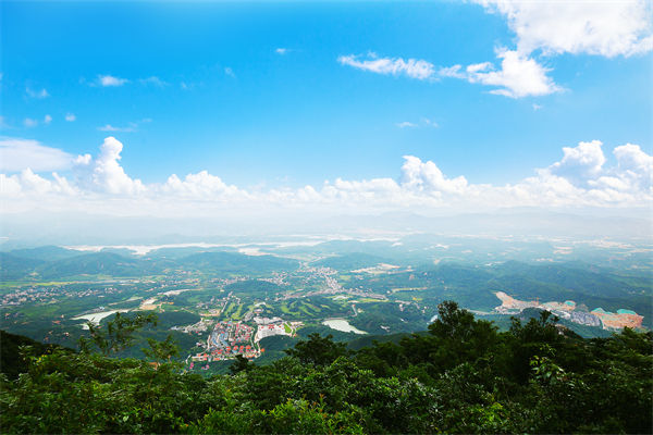 企業(yè)戰(zhàn)略飄在半空落地難，惠州戰(zhàn)略咨詢公司能錨定方向嗎？