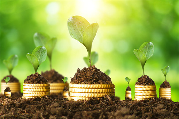 預算管理咨詢公司如何幫助企業(yè)破解資金錯配問題？