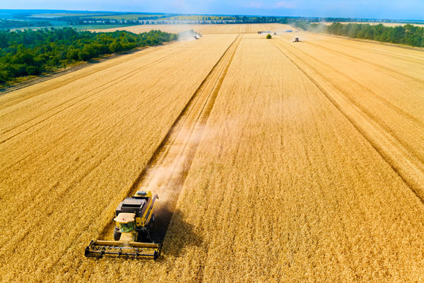 農(nóng)業(yè)行業(yè)供應(yīng)鏈管理咨詢公司推薦，能解農(nóng)資采購成本高問題嗎？